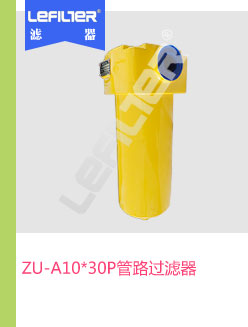 ZU-A10*30P管路过滤器